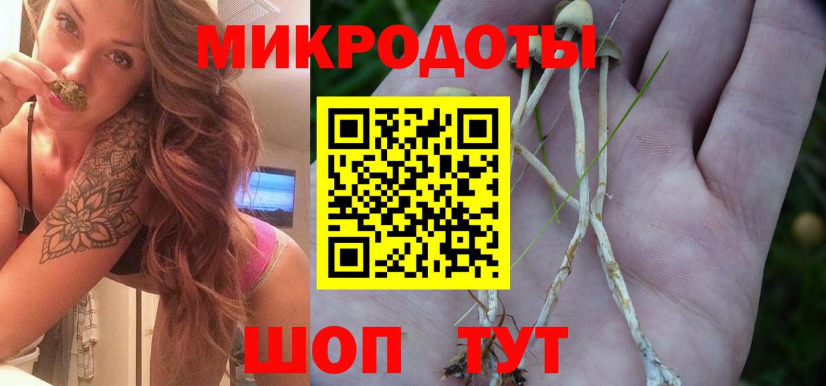 Советск  Галлюциногенные грибы Psilocybe  Вход с VPN 